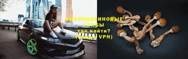 прущая мука Абаза